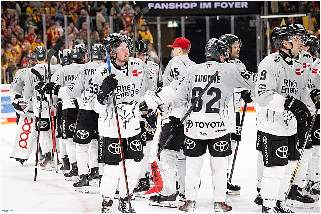 PENNY DEL; Duesseldorfer EG- Koelner Haie; Duesseldorf, 24.01.2025
